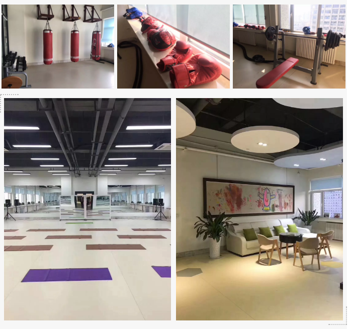 山影 ? 星工坊之探密攻略一 山影 ? 星工坊之探密攻略一