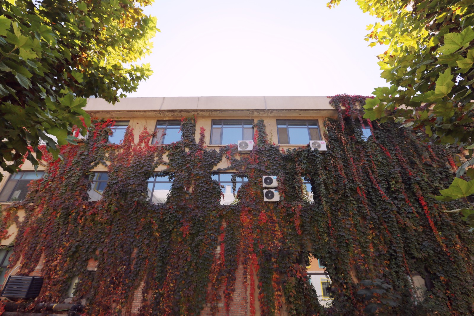 山影星工坊的秋色，與心中的美好不期而遇